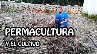 LA PERMACULTURA Y SU CULTIVO [upl. by Eecrad371]