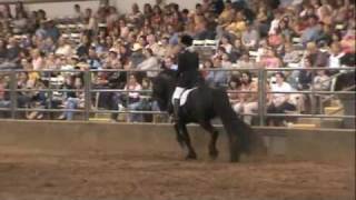 Friesian Stallion Frederik the Great Spectacular Dressage Performance [upl. by Kimberly272]