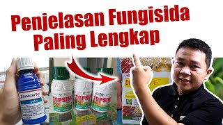 Penjelasan Fungisida Zat  Racun Pengendalian Penyakit Pada Tanaman  Pestisida [upl. by Niltak111]