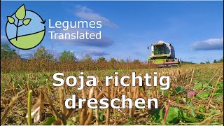 Soja richtig dreschen [upl. by Iain125]