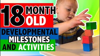 HOW TO PLAY WITH YOUR 18 MONTH OLD  DEVELOPMENTAL MILESTONES  WHAT YOU NEED TO KNOW [upl. by Aneetsirk]