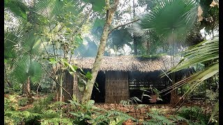 Primitive Technology Living in the forest natural wilderness [upl. by Posehn]