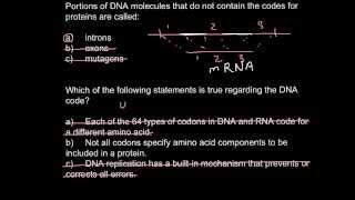 Introns exons and codons [upl. by Kilam]