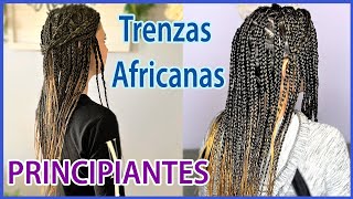 TRENZAS AFRICANAS CON EXTENSIONES  Principiantes [upl. by Tipton]