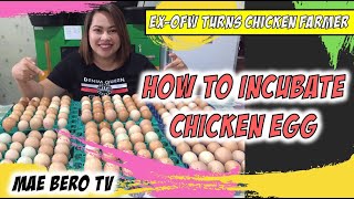 Proper Chicken Egg Incubation Process  Rhode Island Red [upl. by Ititrefen]