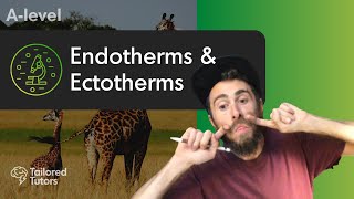 Endotherms amp Ectotherms  A Level Biology  OCR [upl. by Ijan]