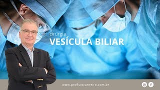 Cirurgia da Vesícula biliar  Prof Dr Luiz Carneiro CRM 22761 [upl. by Greene]