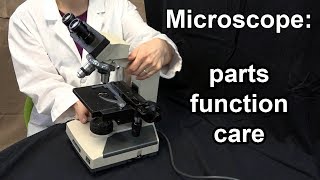 Microscope Parts Function and Care [upl. by Eladnar]