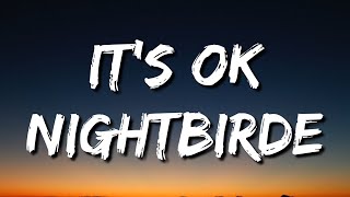 Nightbirde – It’s Okay Lyrics [upl. by Petromilli]