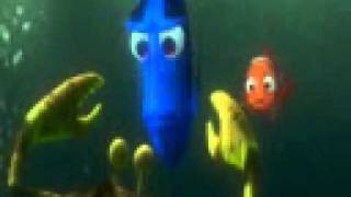 Finding Nemo  Nemo Gets KidnappedThe Divers Scene  Ft Talking Nemowmvwmvwmv [upl. by Eal]