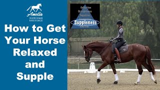 Is your horse relaxed and supple [upl. by Peppel]