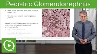 AGN  Acute Glomerulonephritis  Acute Nephritic Syndrome [upl. by Hedley]