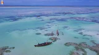 Jacaranda Bay Watamu Kenya [upl. by Armalla]