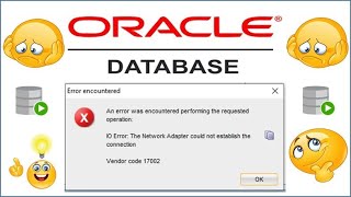 Oracle Database IO Error Network Adapter could not establish the connection Vendor code 17002 [upl. by Prunella942]