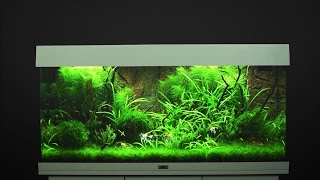 Aquarium einrichten JUWEL Rio 180  Tutorial [upl. by Hulbard418]