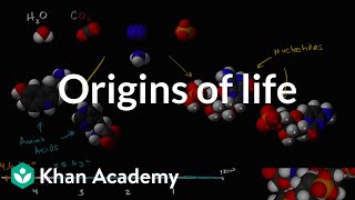 Origins of life  Biology  Khan Academy [upl. by Sana54]