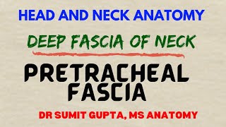 DEEP CERVICAL FASCIA  PRETRACHEAL FASCIA [upl. by Fabri]