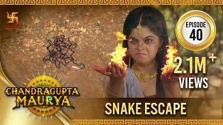 Chandragupta Maurya  Episode 40  Snake Escape  चंद्रगुप्त मौर्य  Swastik Productions [upl. by Ecnar]