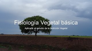 2 Fisiología Vegetal básica [upl. by Innavoij761]