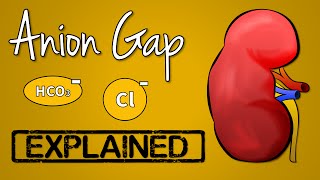 Anion Gap EXPLAINED [upl. by Valentin]