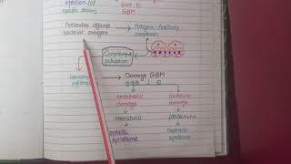 Membranous Nephropathy  Pathology [upl. by Atnod]