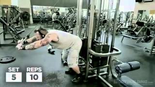 Kris Gethins DTP Arms amp Lower Abs Workout [upl. by Attenwad]