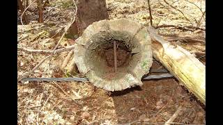 Abandoned Maine Cherryfield Speedway [upl. by Haywood]