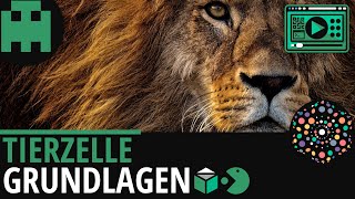 Tierzelle Grundlagen │Biologie Lernvideo Learning Level Up [upl. by Enneyehs224]