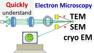 Electron microscope  TEM  SEM  Cryo EM [upl. by Averyl427]