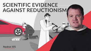 Scientific Evidence Against Reductionism Aquinas 101 [upl. by Enelrak]