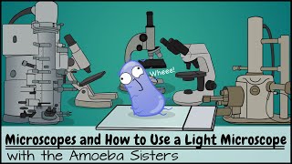 Microscopes and How to Use a Light Microscope [upl. by Dionne]