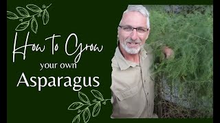 How to Grow Asparagus [upl. by Htedirem]