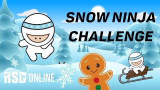 Snow Ninja Challenge  Virtual Winter Workout Get Active Games [upl. by Enomad]