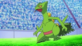 All Ashs Sceptile moves [upl. by Elimay]