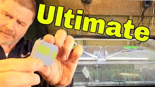 The Ultimate Seed Propagation Setup [upl. by Relyk]