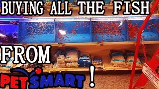 BUYING ALL THE FISH AT PETSMART [upl. by Anileba]