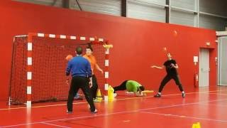 séance spécifique gardien handball [upl. by Odnumyar]