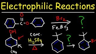 Electrophilic Aromatic Substitution Reactions Made Easy [upl. by Lenna]