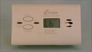 Carbon Monoxide Detector Beeping vs Chirping [upl. by Ecidnarb]