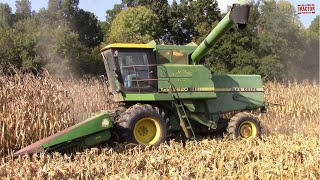 JOHN DEERE 6620 TURBO Combine Harvesting Corn [upl. by Anoblav665]