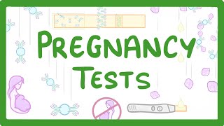 GCSE Biology  How do Pregnancy Tests Work 41 [upl. by Maynord]