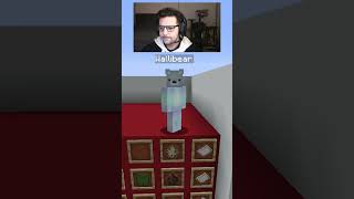 WALLIBEAR TAKES ON MOB ARENA gaming ⁠youtube funny minecraft memes tiktok shorts ytshorts [upl. by Mosby718]