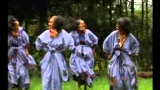 Ibro Ibsa  Nin deema Wollo Oromo Music [upl. by Lotz172]