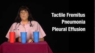 Tactile Fremitus Cups Demonstration [upl. by Phelgen]