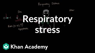 Respiratory distress  Respiratory system diseases  NCLEXRN  Khan Academy [upl. by Livia584]