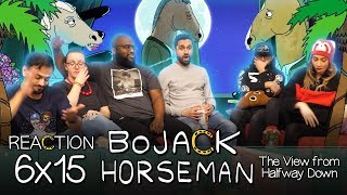 Bojack Horseman  6x15 The View From Halfway Down  Group Reaction [upl. by Bryce312]