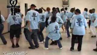 Step  Line Dance  quotCupid Shufflequot [upl. by Yrffej]