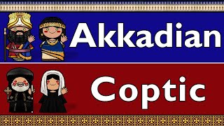 AFROASIATIC AKKADIAN amp COPTIC [upl. by Ycnej]