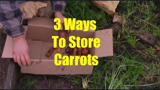 A Few Ways to Store Carrots or Parsnips for the Winter [upl. by Marcy]