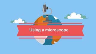 Using a microscope The parts and how to focus [upl. by Dleifrag]